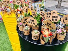 大C酱采集到冷餐