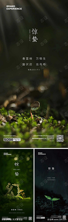 粗茶泡饭采集到志设-79261