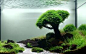 Google 图片搜索 http://www.my-walls.net/wp-content/uploads/2012/10/Forest-Aquarium.jpg 的结果