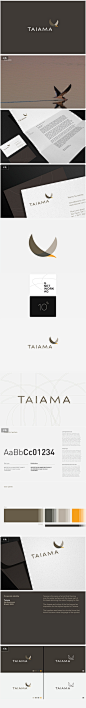 mlito | 企业和品牌标识Taiama