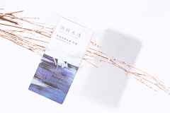 siYUE柠檬采集到包装三肌理抽象