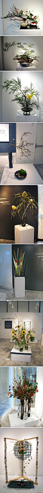 日本ichiyo插花艺术展作品（一）巧妙的运用器具,大量推出了以绿色花材、叶材为主，只点缀少许其他颜色花朵的作品，那种绿意盎然的效果令人赏心悦目