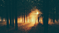 General 1920x1080 wood forest Sun sunlight mist photography trees dark