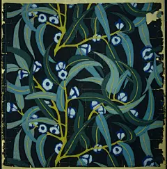 植物插画系列图集丨创意叶子草本花卉绘本绘画