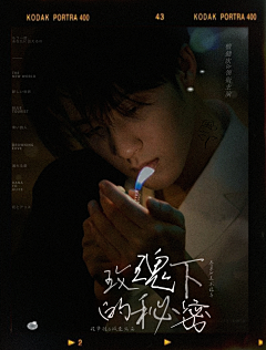 薛仄采集到卷菜专栏~