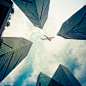 眼镜,明亮,太阳,中锋,建筑结构_155385743_Business towers with an motion  airplane silhouette_创意图片_Getty Images China