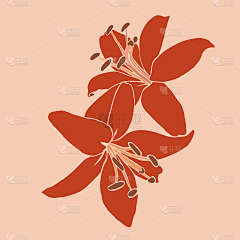 云瑞包装采集到插画