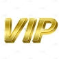 3D-立体简约VIP英文文字2