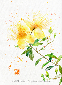 bmtVj_释采集到花花