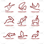 动物符号