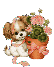 蓝紫色手机壁纸_百度图片搜索