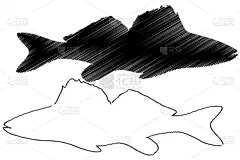 鱼类学,清新,野生动物,食品,自然美,动物,品牌名称,湖,河流,剪影