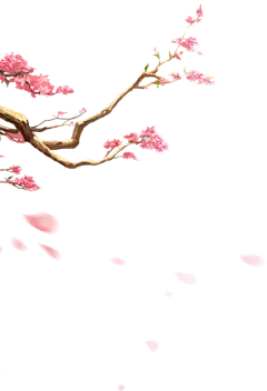 ♡古风免扣素材♡花枝