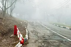 路在雾林。由于有雾，道路很危险。