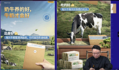 设会摇采集到标品+场景