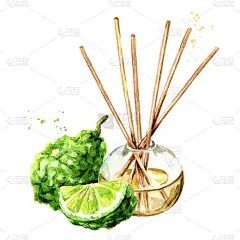 佛手柑香液，装在玻璃瓶中，带有树枝和水果。清新剂。水彩手绘插图，孤立的白色背景