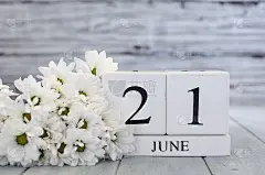 6月21日夏至白木日历块