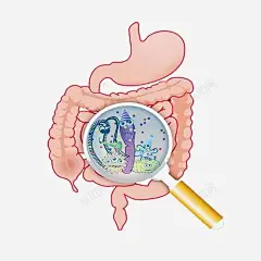检查肠道 设计图片 免费下载 页面网页 平面电商 创意素材