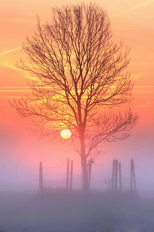 954c26ff4104017785e1bc7a4a542de8ea457c10211632uhy8s