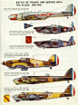 （自由）法国飞机涂装，法国战役至1942年 ​