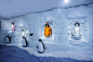 ANTARCTICA 可隆沉浸式极地体验展 | 北京云集·隐居 -北京特色场地预订-北京主题展览场地推荐-北京会议场地-北京活动场地- 创意活动策划,冰雪,羽绒服,可隆体育,北京四合院,主题展示,时尚发布,服装服饰 - 会掌柜