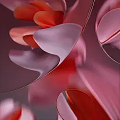 Google Pixel 9 Pro 内置壁纸7