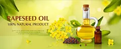 菜籽油制品符号水平海报现实向量插图