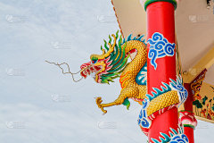 龙在极_5166751939