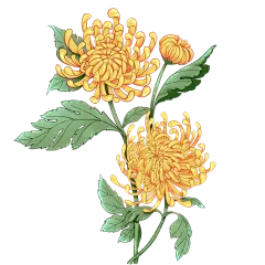 预览图_千图网_编号33901547