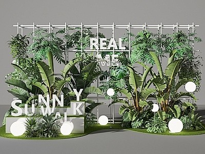 现代绿植物景观 美陈 橱窗