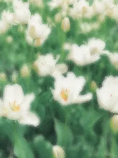 绿色系磨砂质感手机壁纸丨春日朦胧感 - 小红书