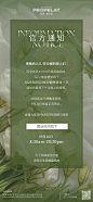 ins风官方通知海报-源文件