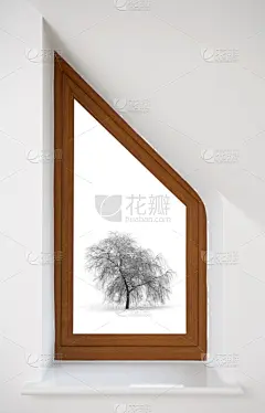 柳树,冬天,窗户,角度,垂柳,窗框,垂直画幅,褐色,气候,窗台