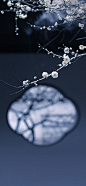 大寒 小寒 大雪 小雪