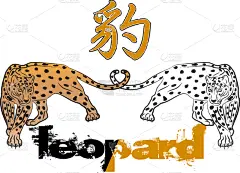 美洲豹,捕猎行为,残酷的,敏捷,雪,哺乳纲,动物,危险,咆哮