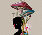 ILLUSTRATION  malakkai setas Mushrooms Magic   digital
