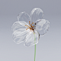 Precious Fragility 3D glass flower model on Behance