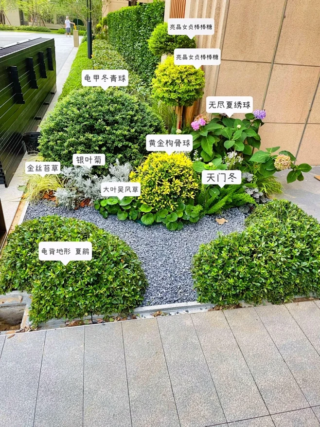 一款低维护、免打理的花境搭配，点赞收藏植物清单 等春天照抄作业喔～ #花园生活 #植物造景 #庭院设计 #花境#浪漫生活的记录者 #花园设计 ...