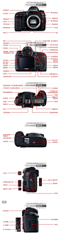 佳能5D Mark IV 5D4单反相机按键的详细图解