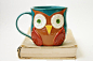 “Mr. Owl” Ceramic Mug by BackBayPottery