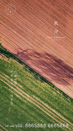 城雨落采集到秋分【源文件design006.com】