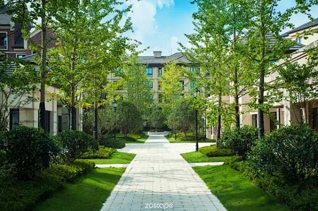 植物配置zoscape植物设计植物景观植物景观意向图