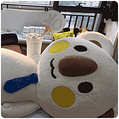 #OK熊很OK# #澳崎熊# #我的同事是头熊# #搞笑# #表情包# #偷懒# #葛优躺# #扇# #晒太阳#