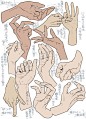 How to draw hands - different gestures and poses - pointing a finger, holding something, making a fist - Drawing Reference: 