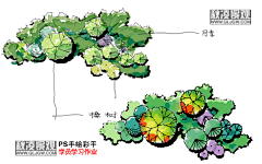 电脑ps手绘彩平教学 |园林景观设计平面图电脑|园林绘画系列作品-淘宝网