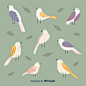Collection of hand drawn birds Free Vector