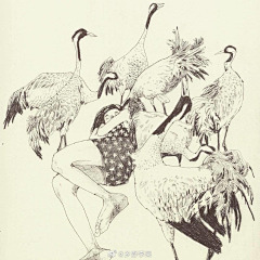 Esperanza°采集到独立插画SKETCH