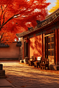 秋季中国北京故宫银杏枫叶风光摄影图