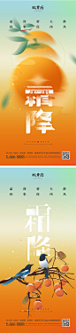 霜降海报-志设网-zs9.com