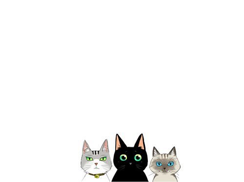猫咪美图